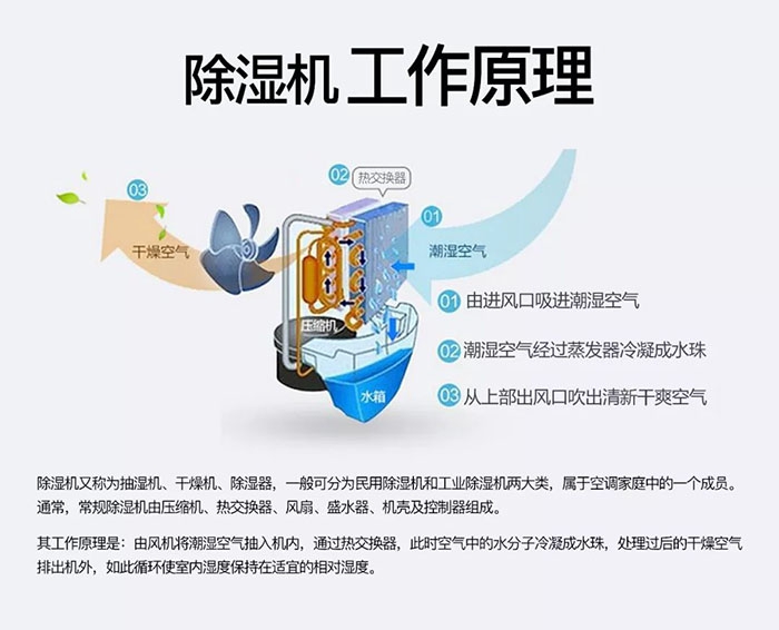 潮濕天氣狗最容易患上這種毛??！三個(gè)注意事項(xiàng)，鏟屎官一定要看看