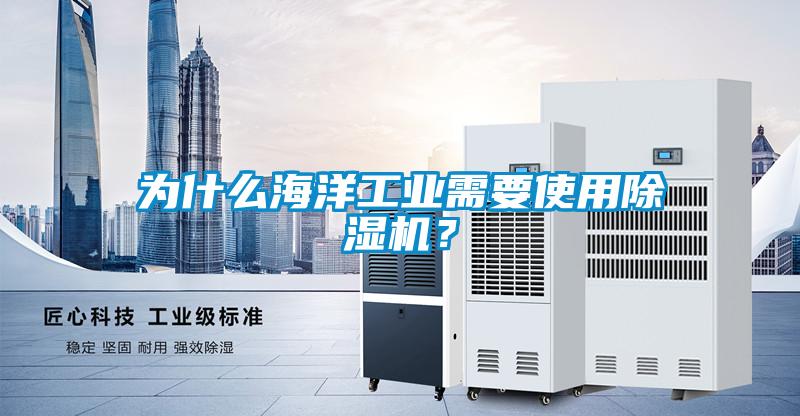 為什么海洋工業(yè)需要使用除濕機？