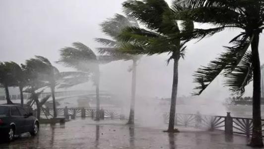 常見問題8月臺(tái)風(fēng)雨即將來，除濕機(jī)還得用起來