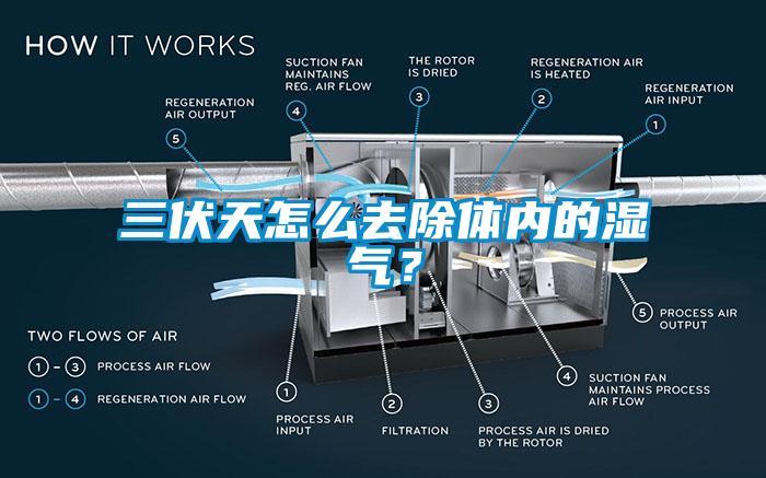 三伏天怎么去除體內(nèi)的濕氣？