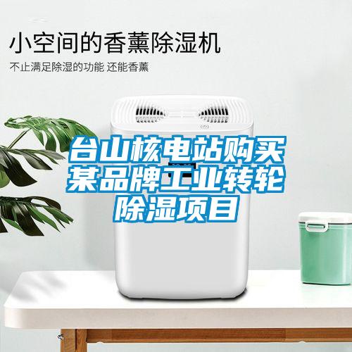 臺(tái)山核電站購(gòu)買某品牌工業(yè)轉(zhuǎn)輪除濕項(xiàng)目