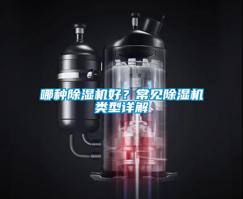 哪種除濕機好？常見除濕機類型詳解