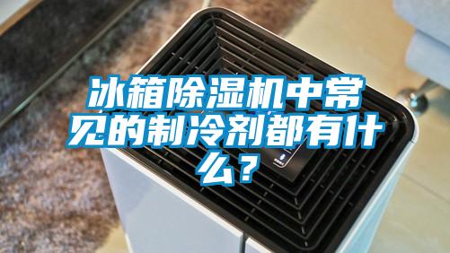 冰箱除濕機中常見的制冷劑都有什么？