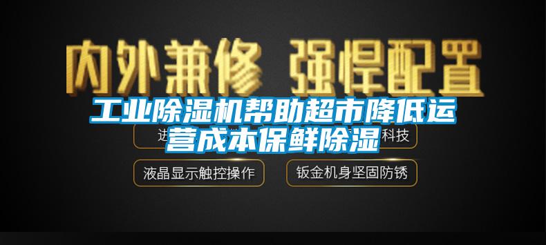 工業(yè)除濕機幫助超市降低運營成本保鮮除濕