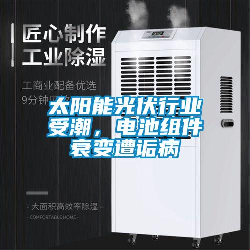 太陽(yáng)能光伏行業(yè)受潮，電池組件衰變?cè)庠嵅?/></p>
<p style=