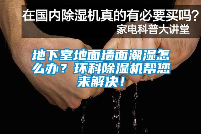 地下室地面墻面潮濕怎么辦？環(huán)科除濕機(jī)幫您來(lái)解決！