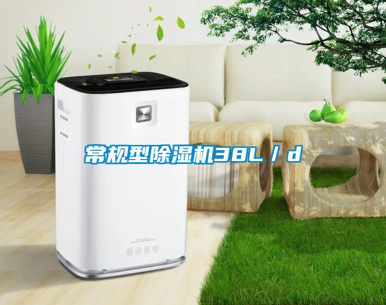 常規(guī)型除濕機(jī)38L／d