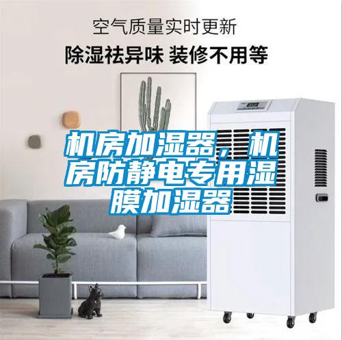 機(jī)房加濕器，機(jī)房防靜電專用濕膜加濕器