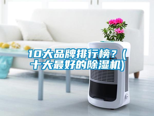 10大品牌排行榜？(十大最好的除濕機)