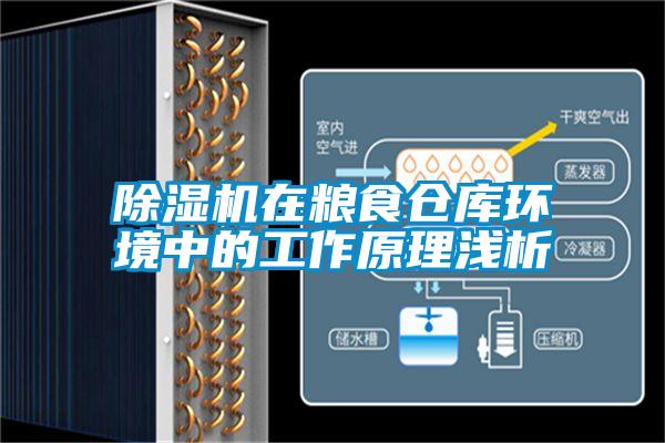 除濕機在糧食倉庫環(huán)境中的工作原理淺析