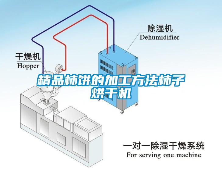 精品柿餅的加工方法柿子烘干機(jī)