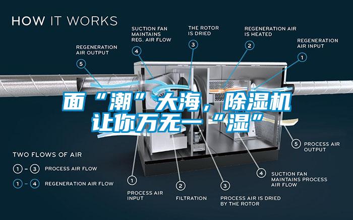 面“潮”大海，除濕機讓你萬無一“濕”