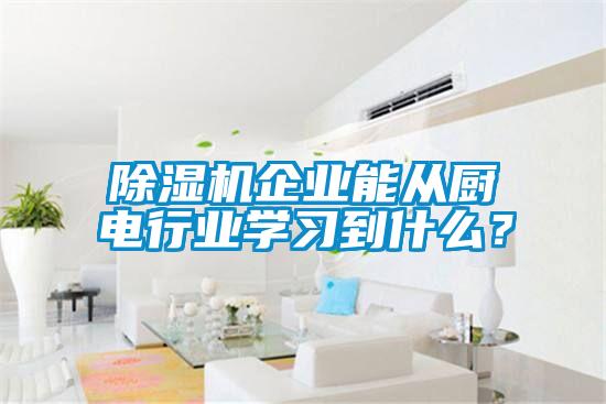 除濕機(jī)企業(yè)能從廚電行業(yè)學(xué)習(xí)到什么？