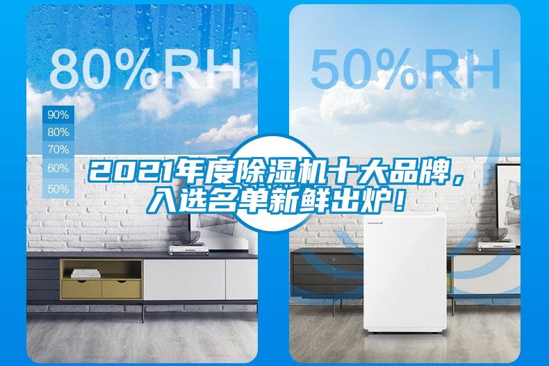 2021年度除濕機十大品牌，入選名單新鮮出爐！