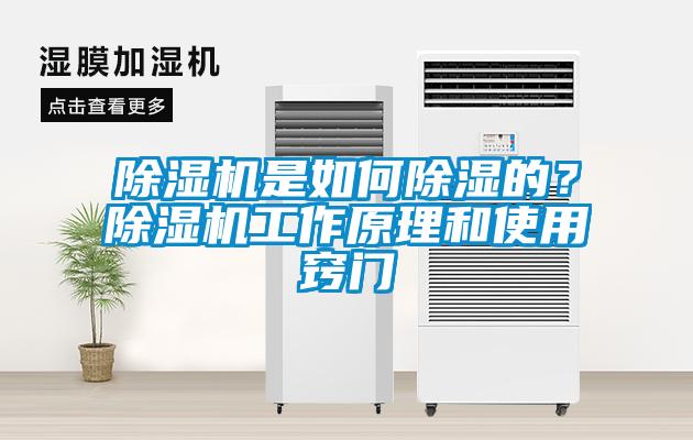 除濕機是如何除濕的？除濕機工作原理和使用竅門