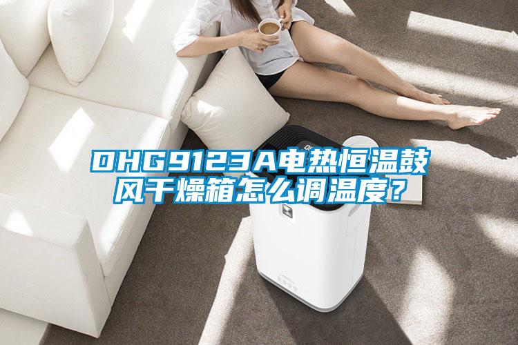 DHG9123A電熱恒溫鼓風(fēng)干燥箱怎么調(diào)溫度？