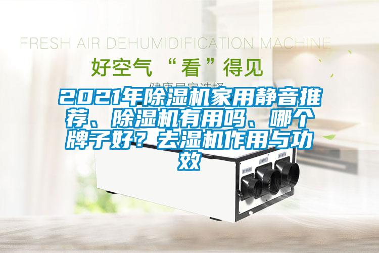 2021年除濕機家用靜音推薦、除濕機有用嗎、哪個牌子好？去濕機作用與功效