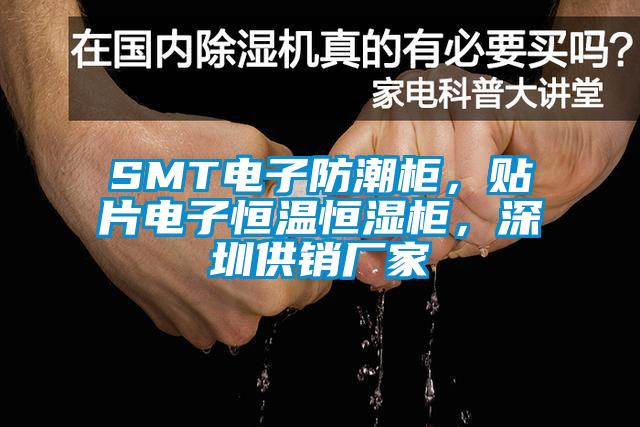 SMT電子防潮柜，貼片電子恒溫恒濕柜，深圳供銷廠家