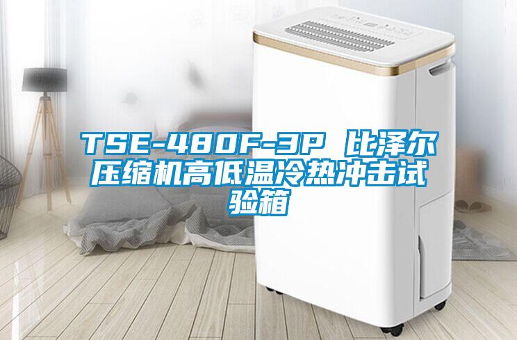 TSE-480F-3P 比澤爾壓縮機高低溫冷熱沖擊試驗箱