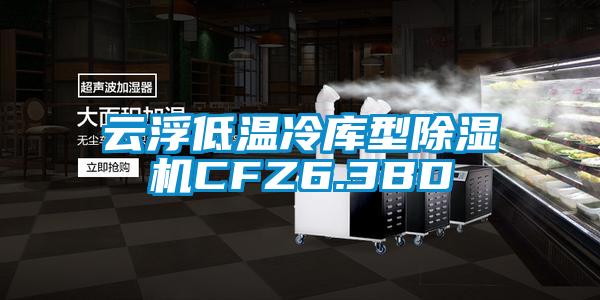 云浮低溫冷庫型除濕機CFZ6.3BD