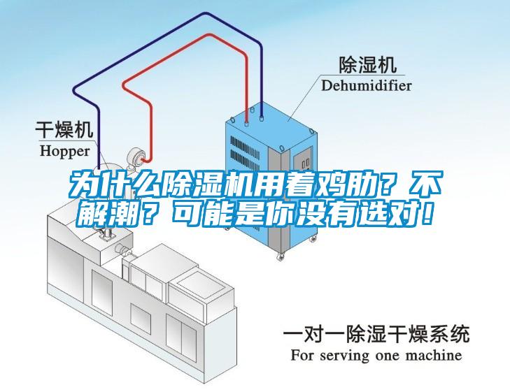 為什么除濕機(jī)用著雞肋？不解潮？可能是你沒有選對！