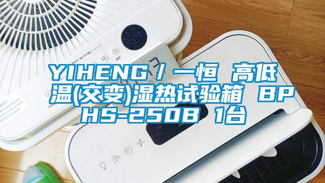 YIHENG／一恒 高低溫(交變)濕熱試驗箱 BPHS-250B 1臺