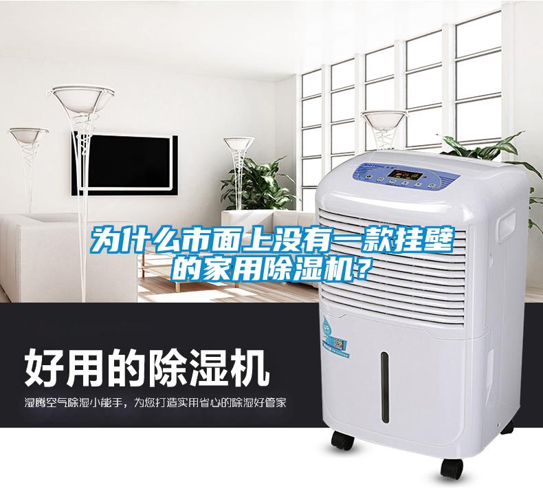 為什么市面上沒(méi)有一款掛壁的家用除濕機(jī)？