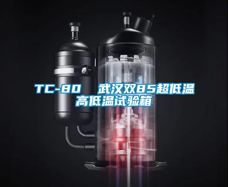 TC-80  武漢雙85超低溫高低溫試驗箱