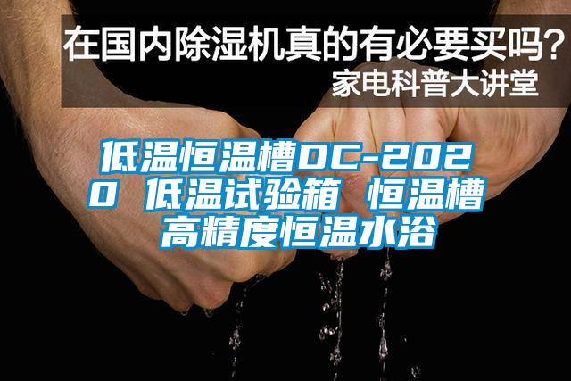 低溫恒溫槽DC-2020 低溫試驗(yàn)箱 恒溫槽 高精度恒溫水浴