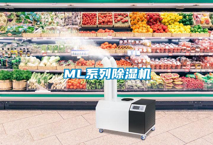 ML系列除濕機(jī)