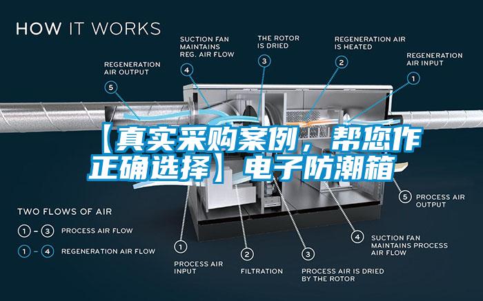 【真實(shí)采購案例，幫您作正確選擇】電子防潮箱