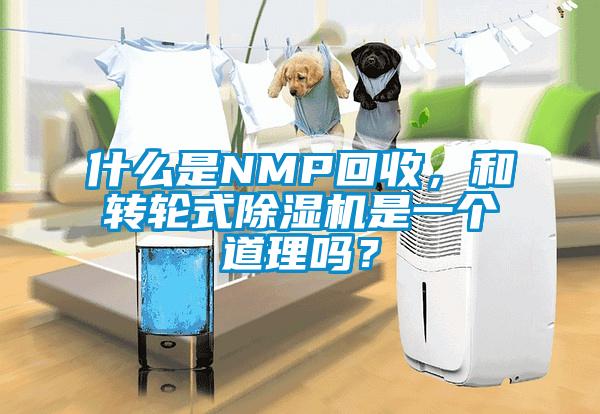 什么是NMP回收，和轉(zhuǎn)輪式除濕機是一個道理嗎？