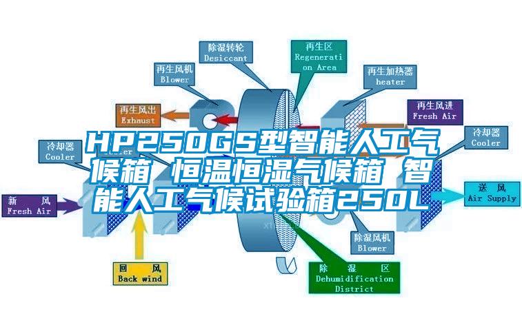 HP250GS型智能人工氣候箱 恒溫恒濕氣候箱 智能人工氣候試驗(yàn)箱250L