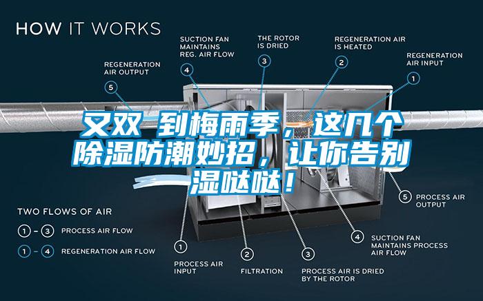 又雙叒到梅雨季，這幾個除濕防潮妙招，讓你告別濕噠噠！