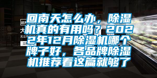 回南天怎么辦，除濕機真的有用嗎？2022年12月除濕機哪個牌子好，各品牌除濕機推薦看這篇就夠了