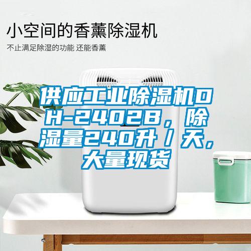 供應(yīng)工業(yè)除濕機DH-2402B，除濕量240升／天，大量現(xiàn)貨