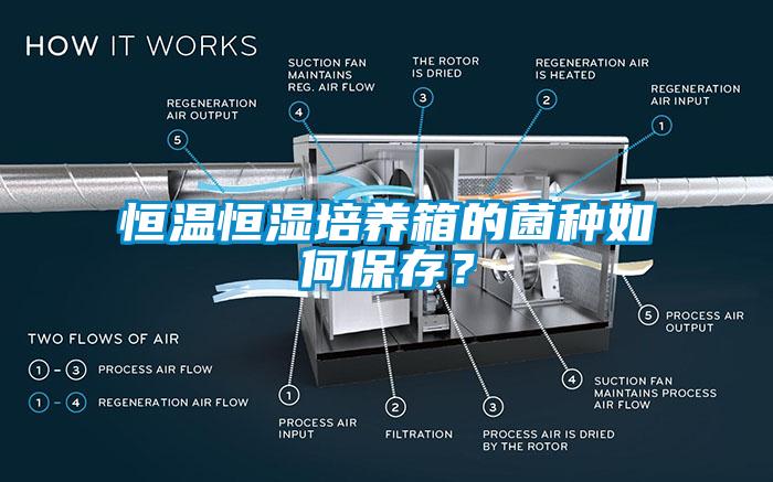 恒溫恒濕培養(yǎng)箱的菌種如何保存？