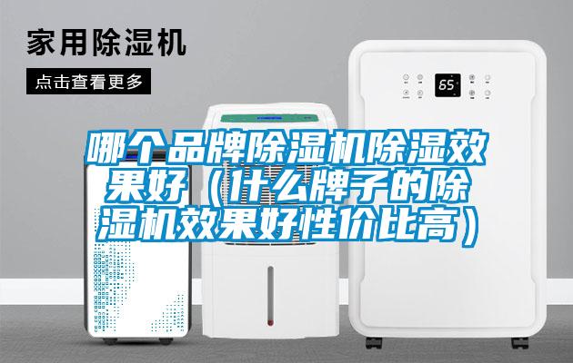 哪個品牌除濕機除濕效果好（什么牌子的除濕機效果好性價比高）