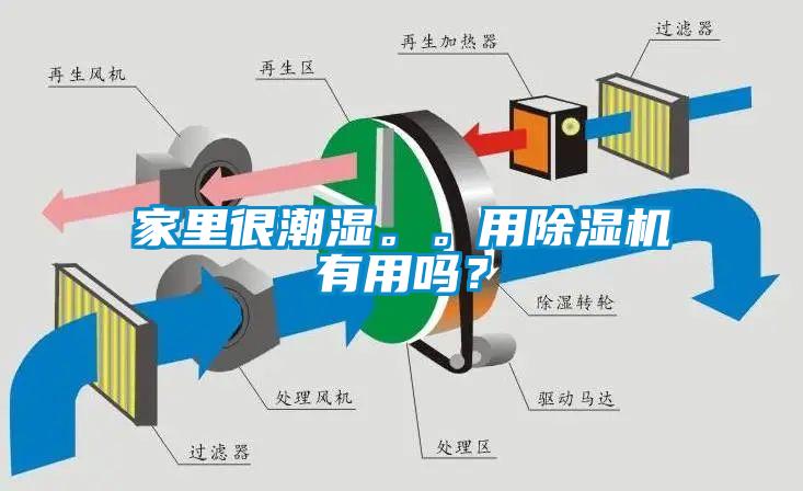 家里很潮濕。。用除濕機(jī)有用嗎？