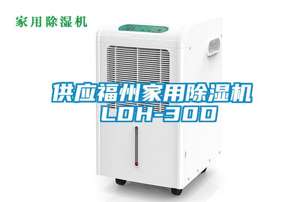 供應福州家用除濕機 LDH-30D