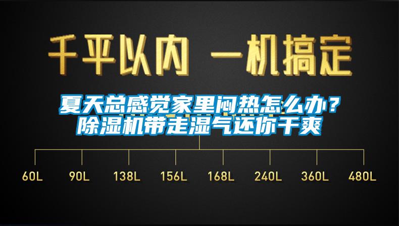 夏天總感覺家里悶熱怎么辦？除濕機帶走濕氣還你干爽