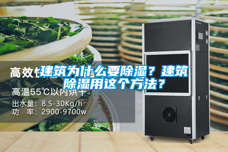 建筑為什么要除濕？建筑除濕用這個方法？