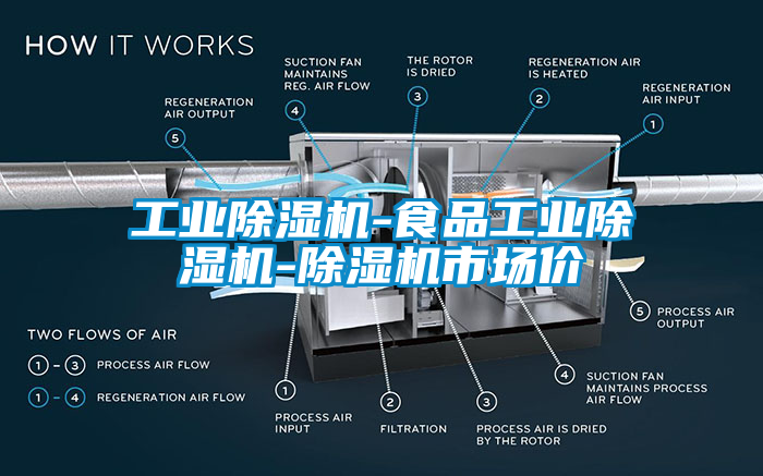 工業(yè)除濕機(jī)-食品工業(yè)除濕機(jī)-除濕機(jī)市場(chǎng)價(jià)