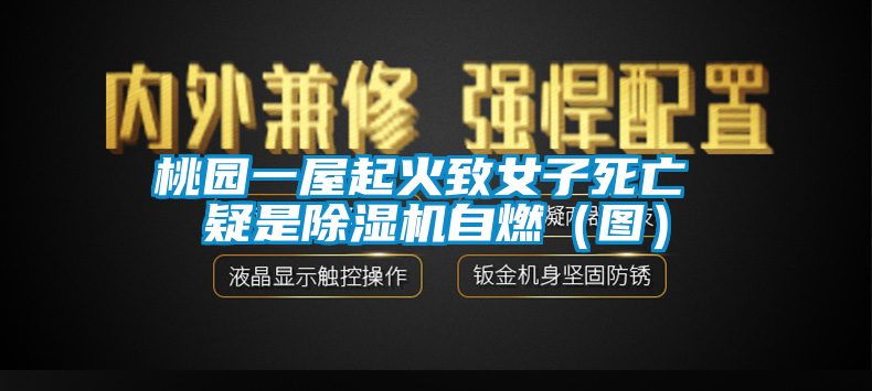 桃園一屋起火致女子死亡 疑是除濕機自燃（圖）