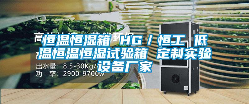 恒溫恒濕箱 HG／恒工 低溫恒溫恒濕試驗箱 定制實驗設(shè)備廠家