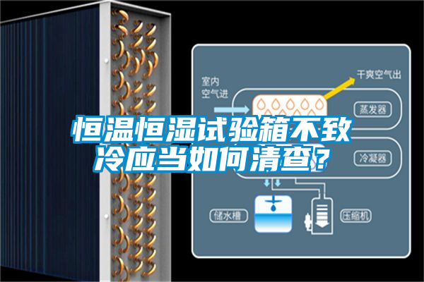 恒溫恒濕試驗箱不致冷應(yīng)當(dāng)如何清查？