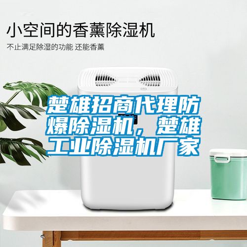 楚雄招商代理防爆除濕機(jī)，楚雄工業(yè)除濕機(jī)廠家