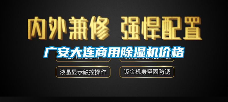 廣安大連商用除濕機價格