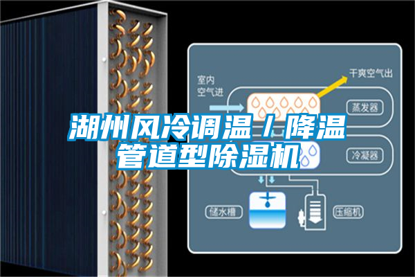 湖州風(fēng)冷調(diào)溫／降溫管道型除濕機(jī)