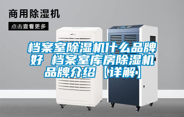 檔案室除濕機什么品牌好 檔案室?guī)旆砍凉駲C品牌介紹【詳解】